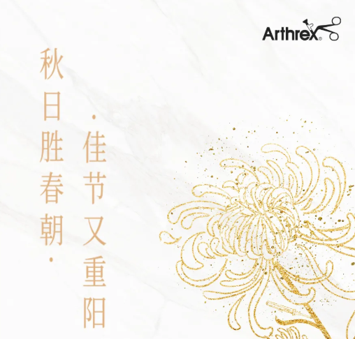 佳节又重阳 秋日胜春朝！